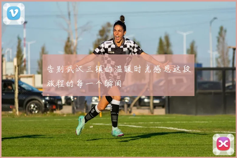 告别武汉三镇的温暖时光感恩这段旅程的每一个瞬间