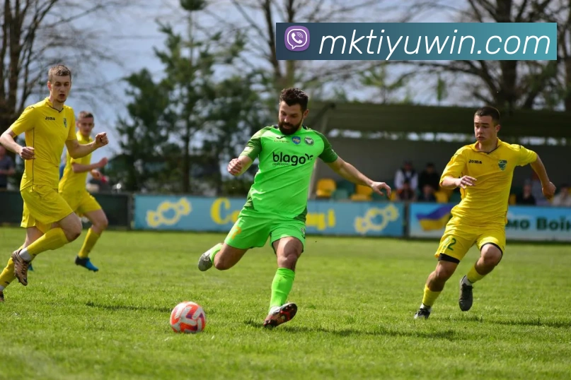 MK体育平台生态图