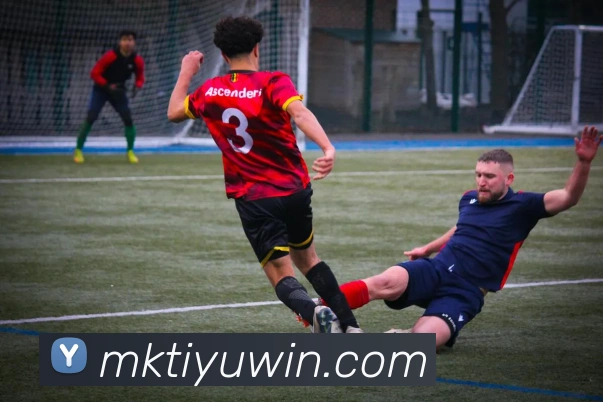 MK体育APP 封面图